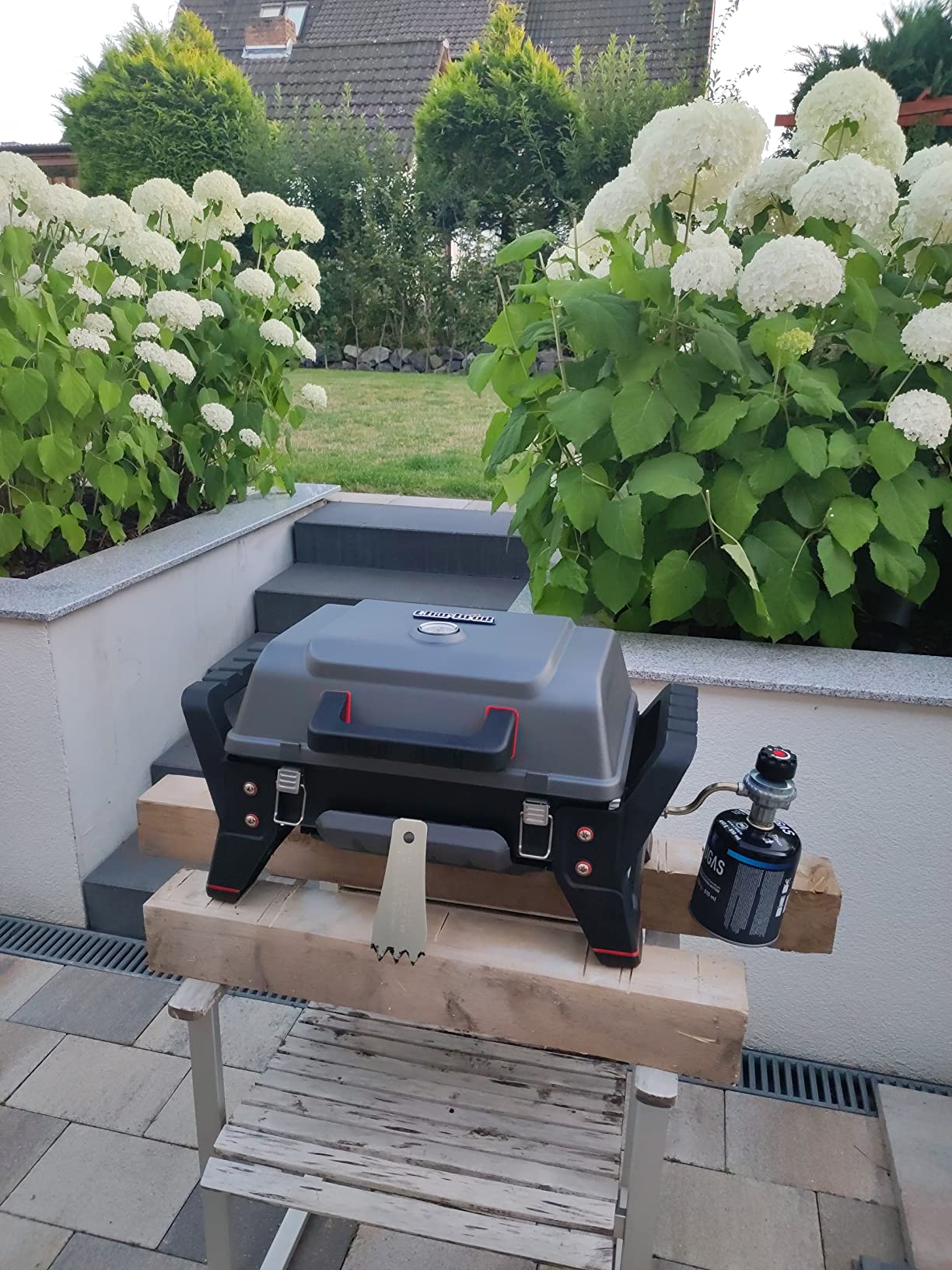 Steaks wie vom Profi