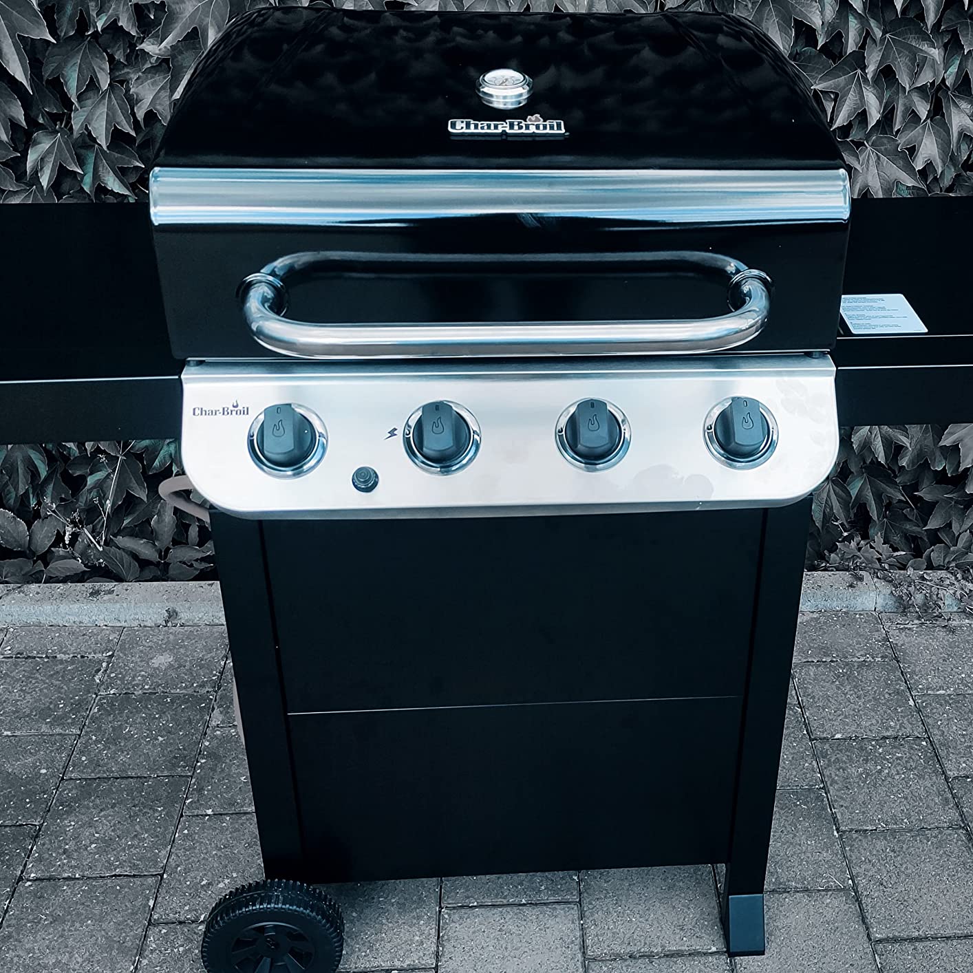 Toller Grill fürs Geld